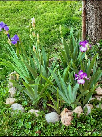 63 N Ogden Avenue, Columbus, OH 43204