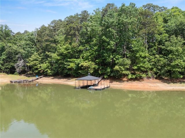 478 Chandler Place Drive, Lavonia, GA 30553