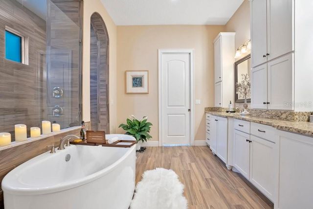 743 CANOPY ESTATES DRIVE, Winter Garden, FL 34787