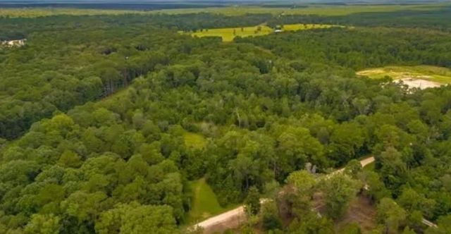 1176 Plum Pudding Road, Livingston, TX 77351