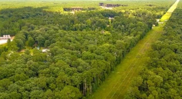 1176 Plum Pudding Road, Livingston, TX 77351
