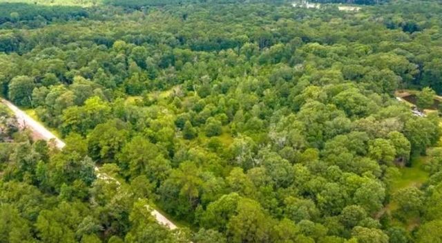1176 Plum Pudding Road, Livingston, TX 77351