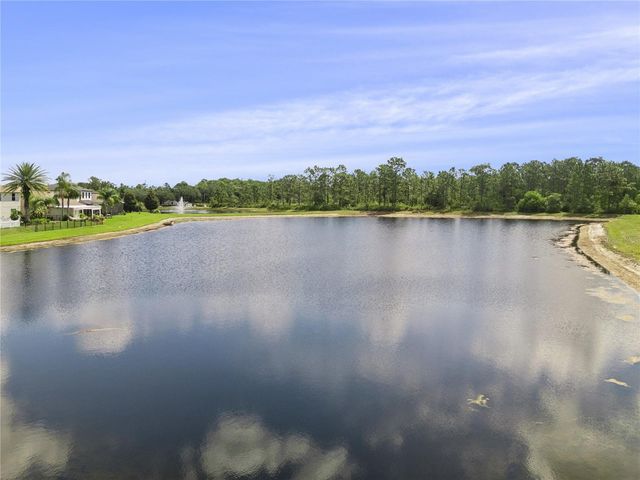 1519 BALSAM WILLOW TRAIL, Orlando, FL 32825