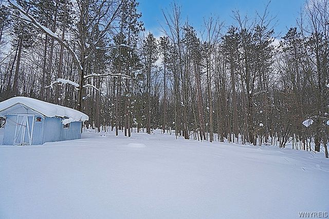 3159 Paxon Road, Eden, NY 14057