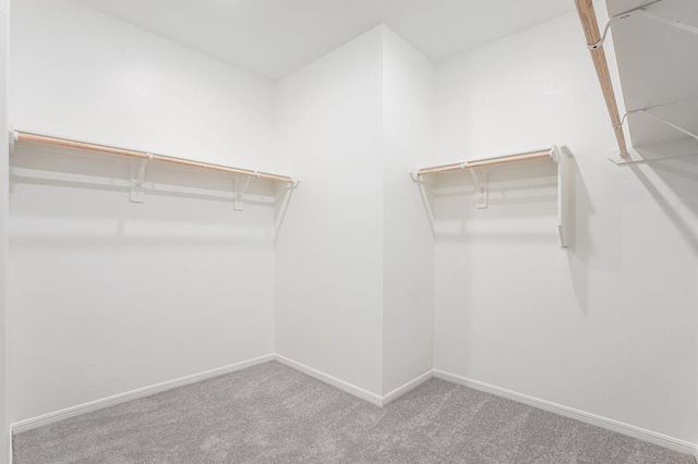 21906 Longhorn Ridge Drive, Hockley, TX 77447