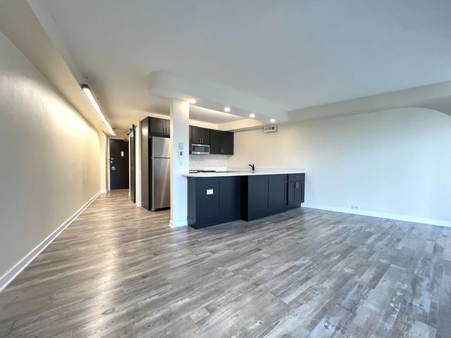 300 N State Street 5225, Chicago, IL 60654