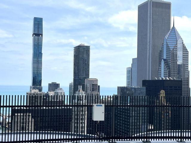 300 N State Street 5225, Chicago, IL 60654