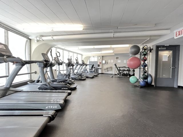 300 N State Street 5225, Chicago, IL 60654