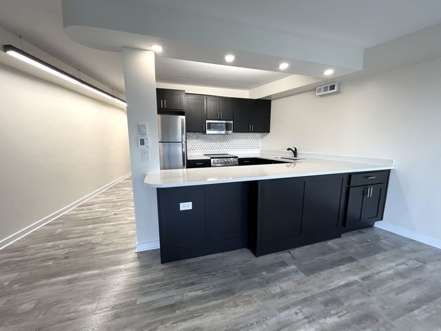 300 N State Street 5225, Chicago, IL 60654