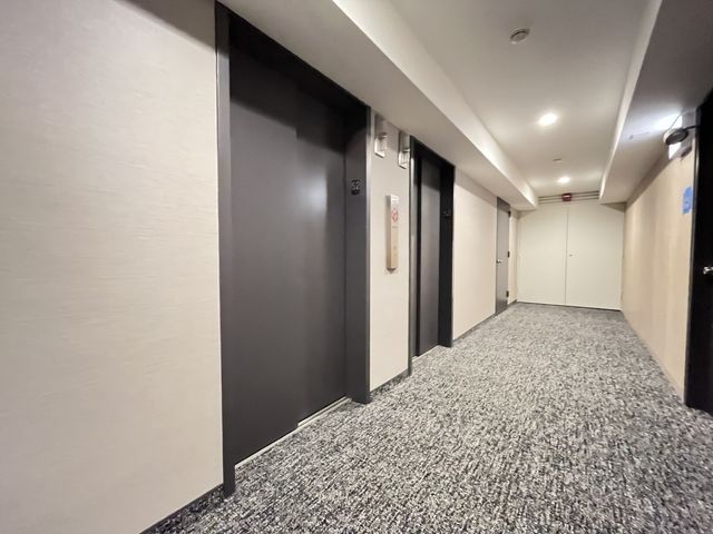 300 N State Street 5225, Chicago, IL 60654