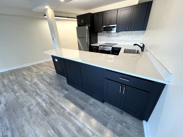 300 N State Street 5225, Chicago, IL 60654