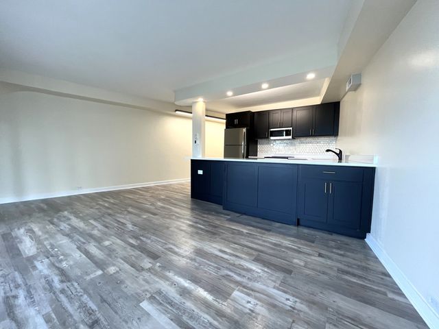 300 N State Street 5225, Chicago, IL 60654