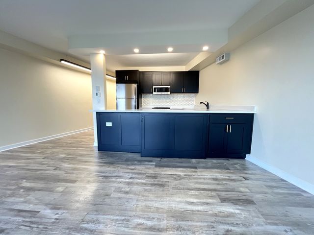 300 N State Street 5225, Chicago, IL 60654