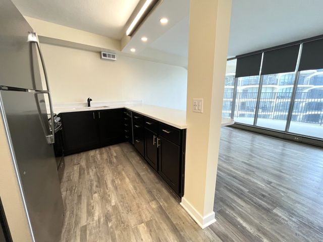 300 N State Street 5225, Chicago, IL 60654