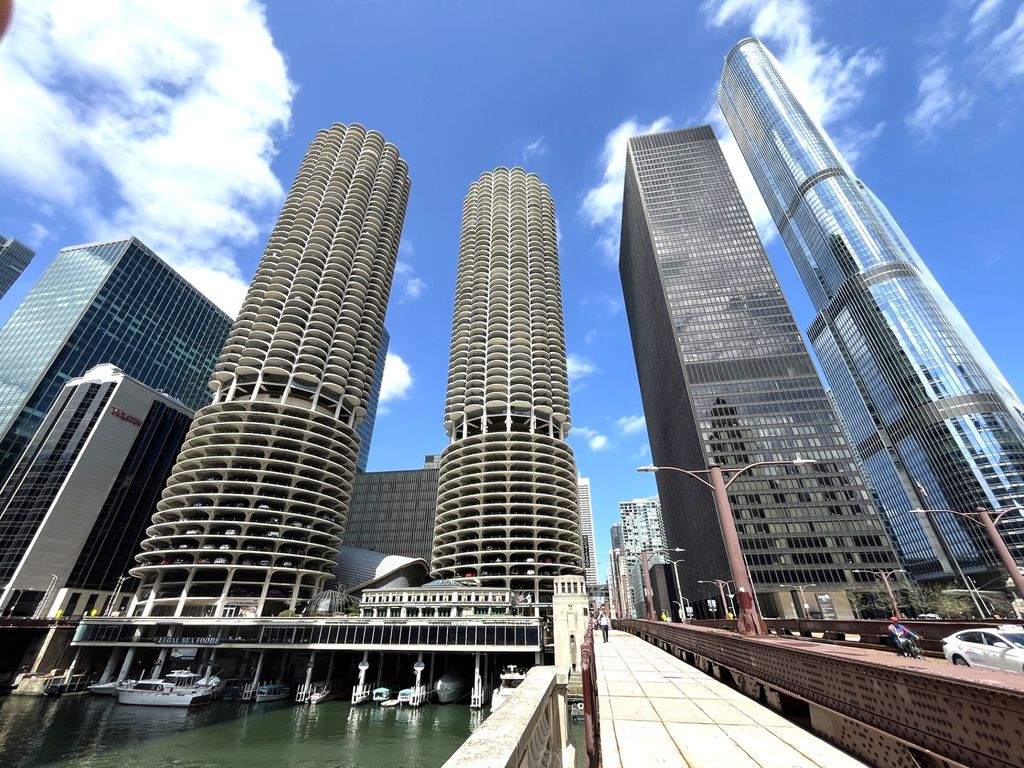 300 N State Street 5225, Chicago, IL 60654