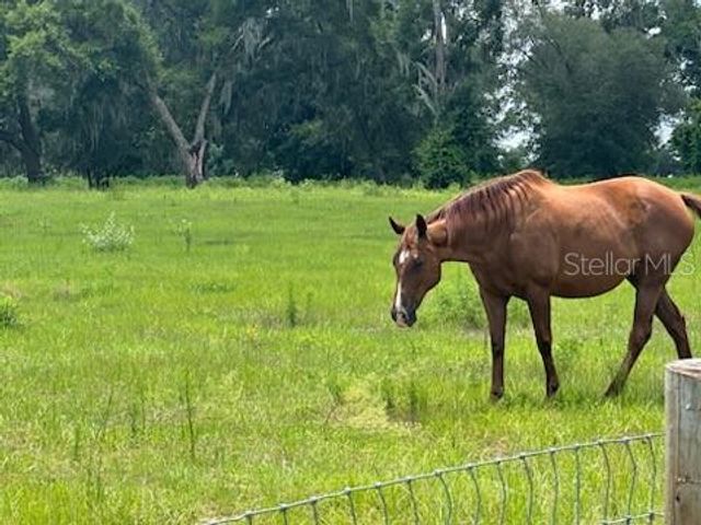 14854 NE JACKSONVILLE ROAD, Citra, FL 32113