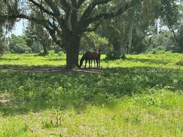 14854 NE JACKSONVILLE ROAD, Citra, FL 32113