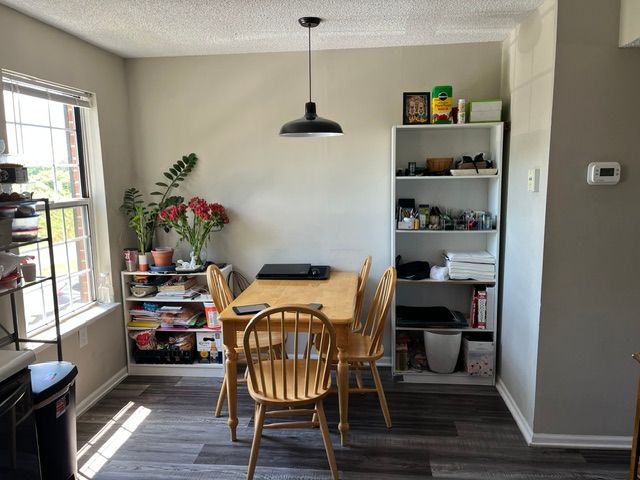 250 Elm Elm Street, Clemson, SC 29631