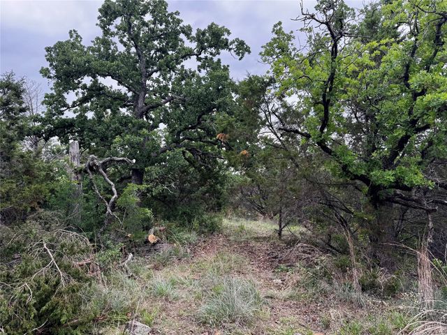 TBD Village Bend Road, Mineral Wells, TX 76067