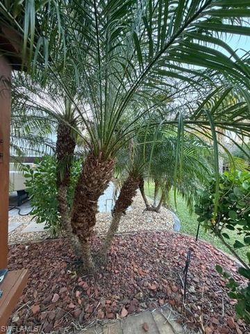 10325 Fire Flag TRL, Fort Myers, FL 33905