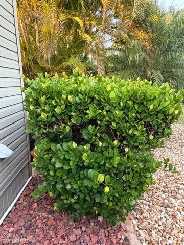 10325 Fire Flag TRL, Fort Myers, FL 33905