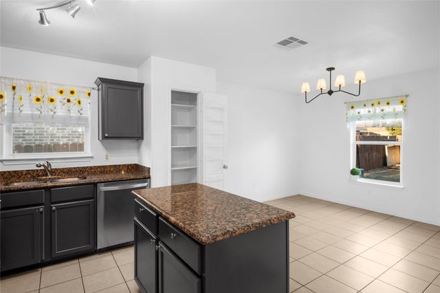 13205 Nelson Houser ST, Manor, TX 78653