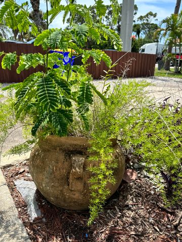 2814 SE Indian Street, Stuart, FL 34997