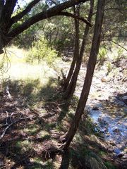 370-B Kothman RD, Dripping Springs, TX 78620