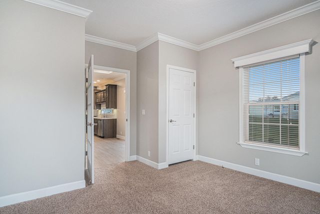 11765 Townsquare Blvd Drive, Courtland Twp, MI 49341