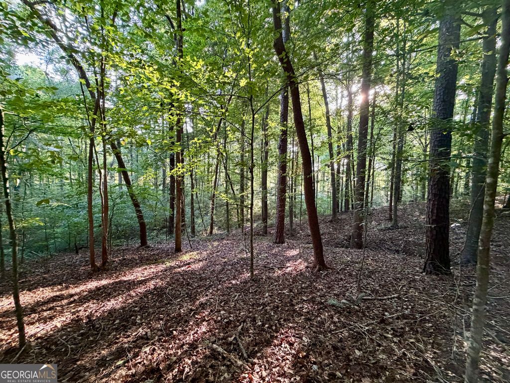0 N Broad River Road, Eastanollee, GA 30538 — photo 3