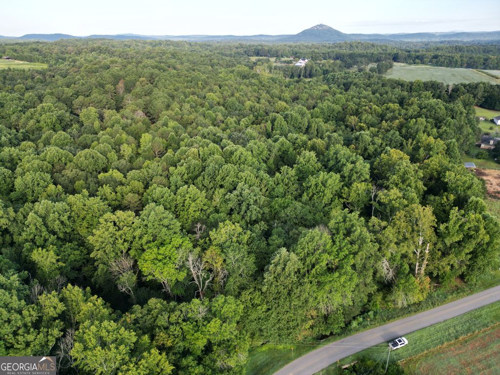 0 N Broad River Road, Eastanollee, GA 30538 — photo 5