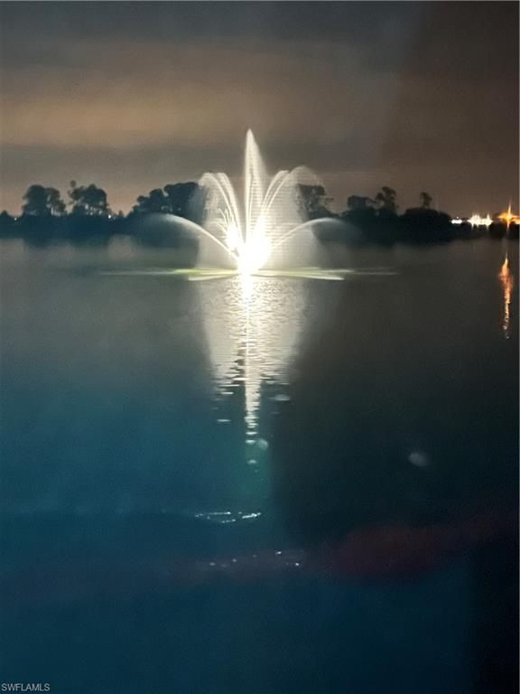 Image 3 of property listing at 847 Stonewater Lake TER W, Cape Coral, FL 33993