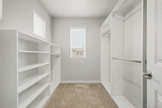 9729 Albion Lane, Denver, CO 80229