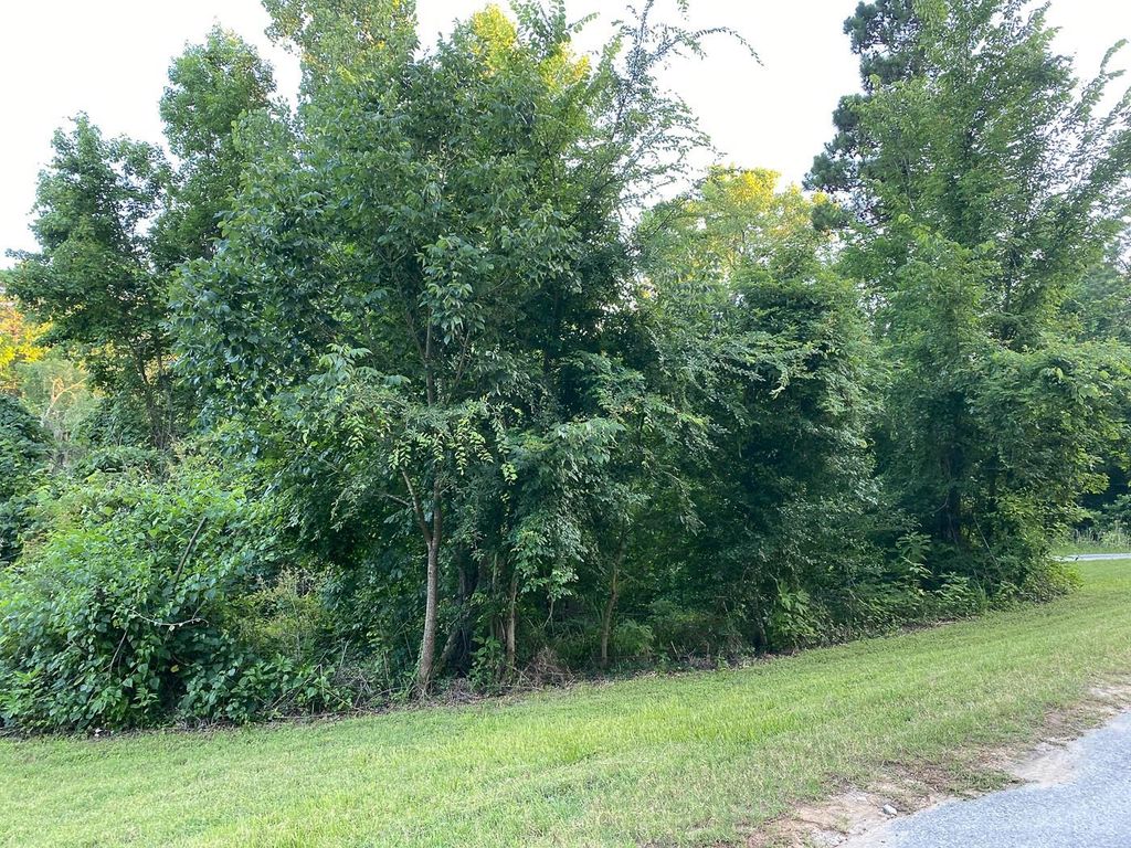 01 White Oak Drive, Point Blank, TX 77364