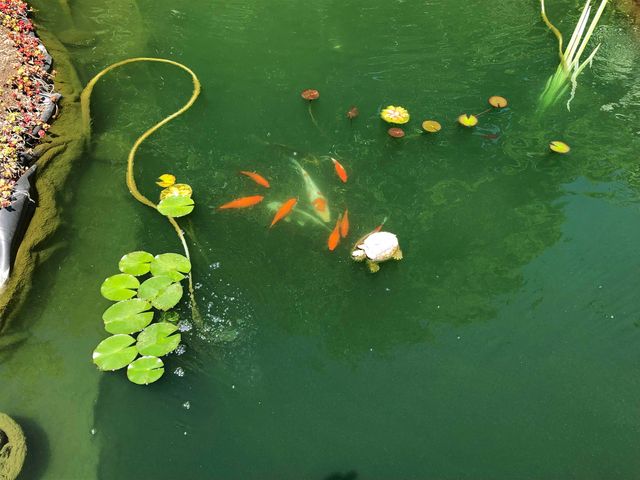 446 Highland Avenue, Manchester, VT 05255