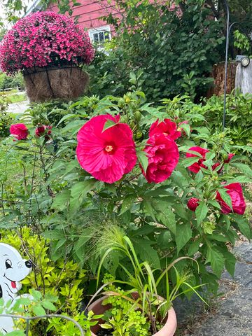 446 Highland Avenue, Manchester, VT 05255