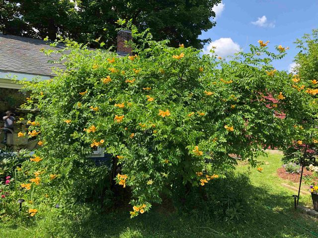 446 Highland Avenue, Manchester, VT 05255