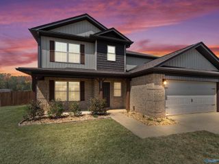 12049 Pulaski Pike, Toney, AL 35773