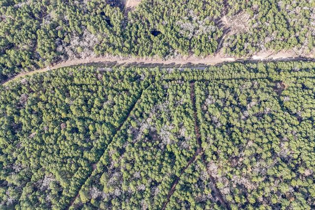 0 Hickory Bow Lane, Hempstead, TX 77445