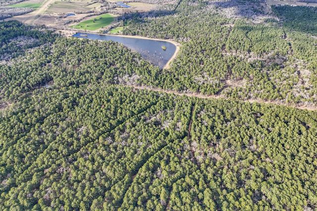 0 Hickory Bow Lane, Hempstead, TX 77445