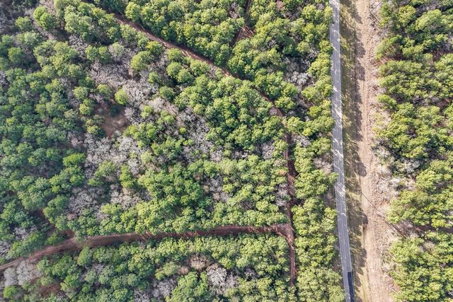 0 Hickory Bow Lane, Hempstead, TX 77445