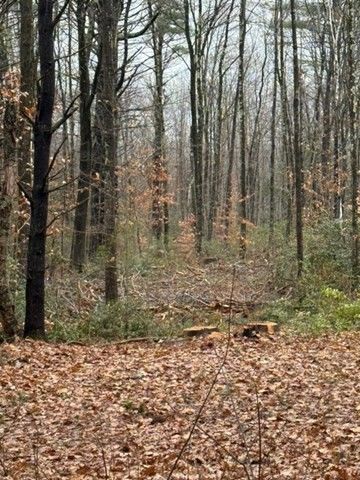 0 Wendell Depot Rd, Wendell, MA 01379