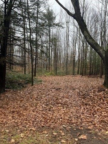 0 Wendell Depot Rd, Wendell, MA 01379