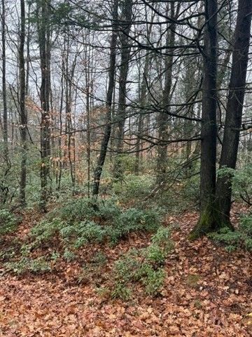 0 Wendell Depot Rd, Wendell, MA 01379