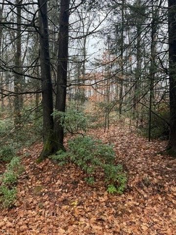 0 Wendell Depot Rd, Wendell, MA 01379