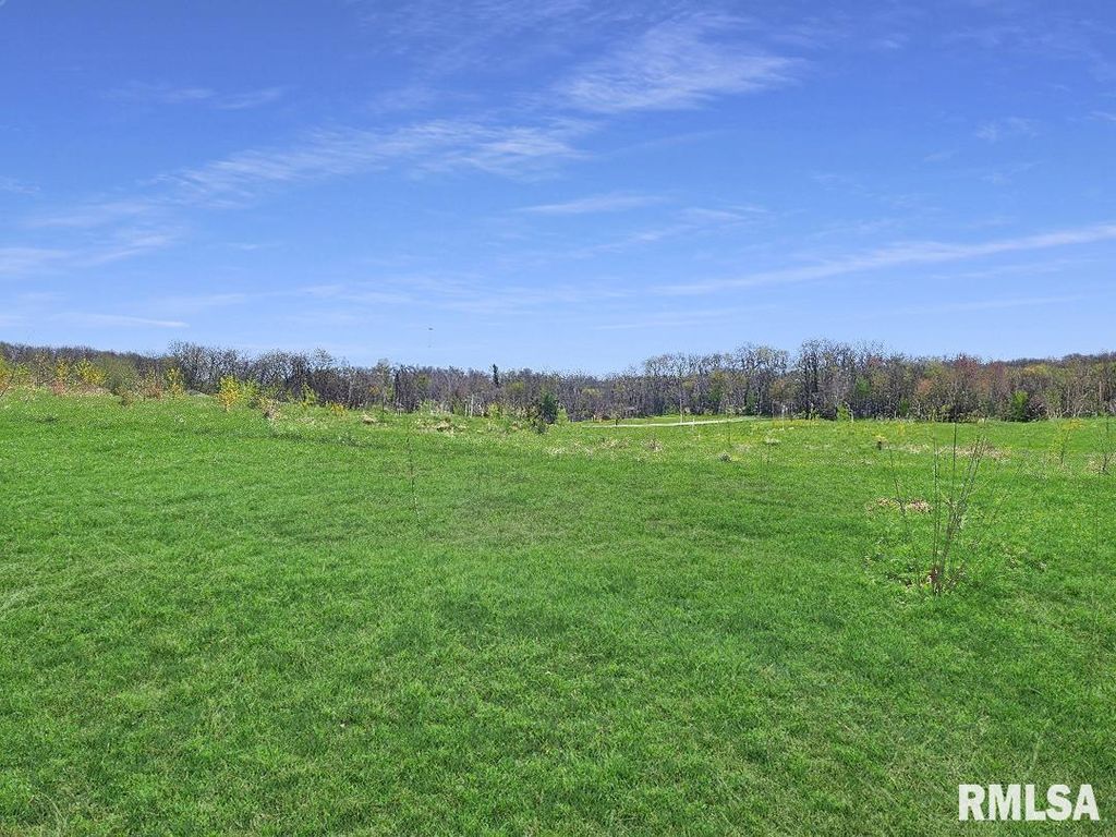 0 - LOT 6 TOWN Avenue, Princeville, IL 61559