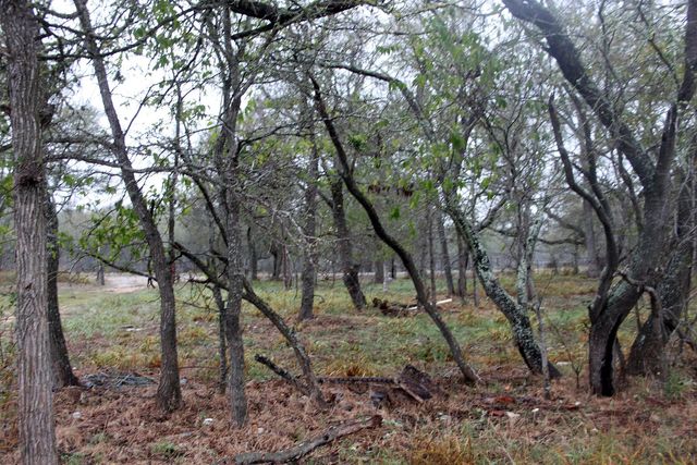 3816 FM 1854, Dale, TX 78616