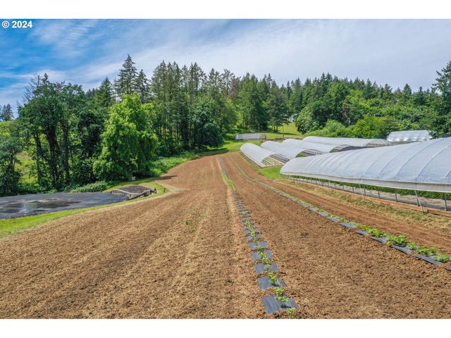 23175 Ne RIDGE Rd 1, Gaston, OR 97119