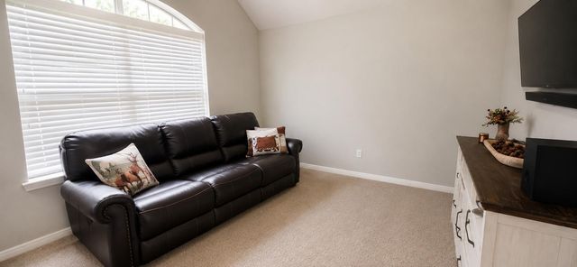 21558 Lexor Court, Porter, TX 77365