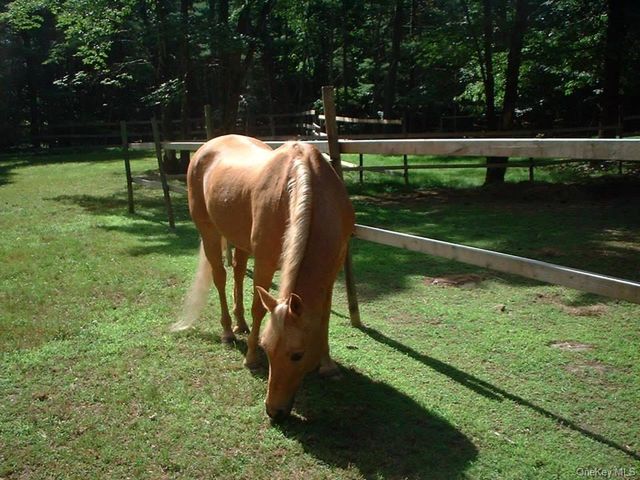 404 John Joy Road, Woodstock, NY 12498